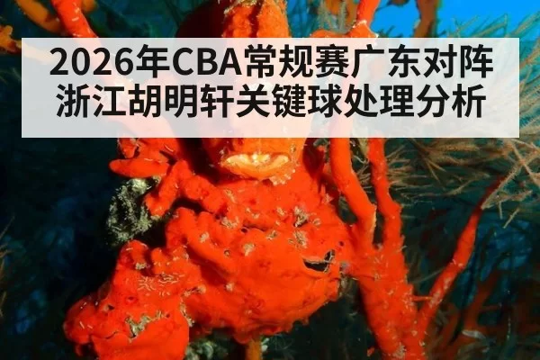 2026年CBA常规赛广东对阵浙江胡明轩关键球处理分析